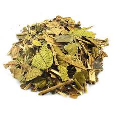 CHÁ CANELA DE VELHO
