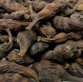 PIMENTA DE MACACO