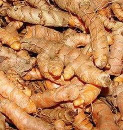 CURCUMA RAIZ