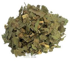 CHÁ DE GUACATONGA