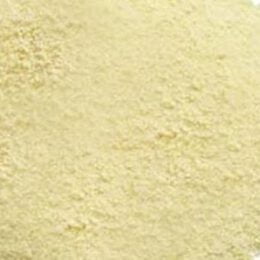 CEBOLA EM PÓ