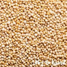 QUINOA GRÃO