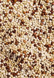 QUINOA MISTA GRÃO