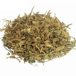 CHÁ CENTELA ASIATICA
