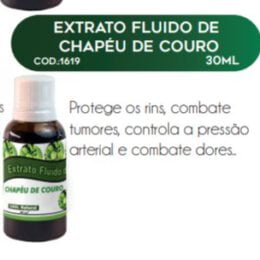 EXTRATO FLUIDO DE CHAPEU DE COURO 30ml - RAC NATURE