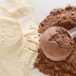 WHEY CONCENTRADO