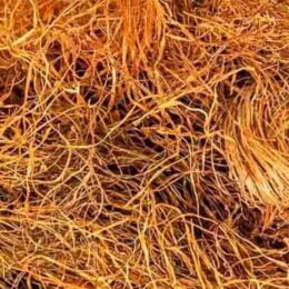 CHÁ CABELO DE MILHO