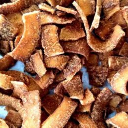 CHIPS DE COCO CARAMELIZADA COM NECTAR