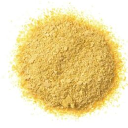 LEVEDURA NUTRICIONAL EM PÓ