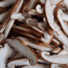 SHITAKE