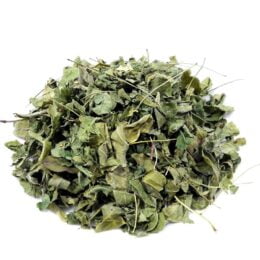 CHÁ MORINGA