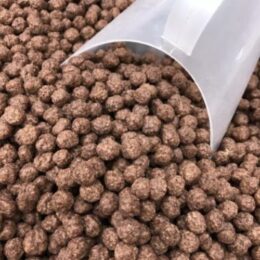 CHOCO BOLL