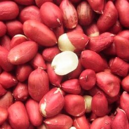 Amendoim Cru com Casca - 100g